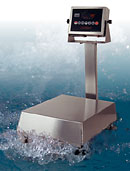 Buy Bench scales at northeastscale.com